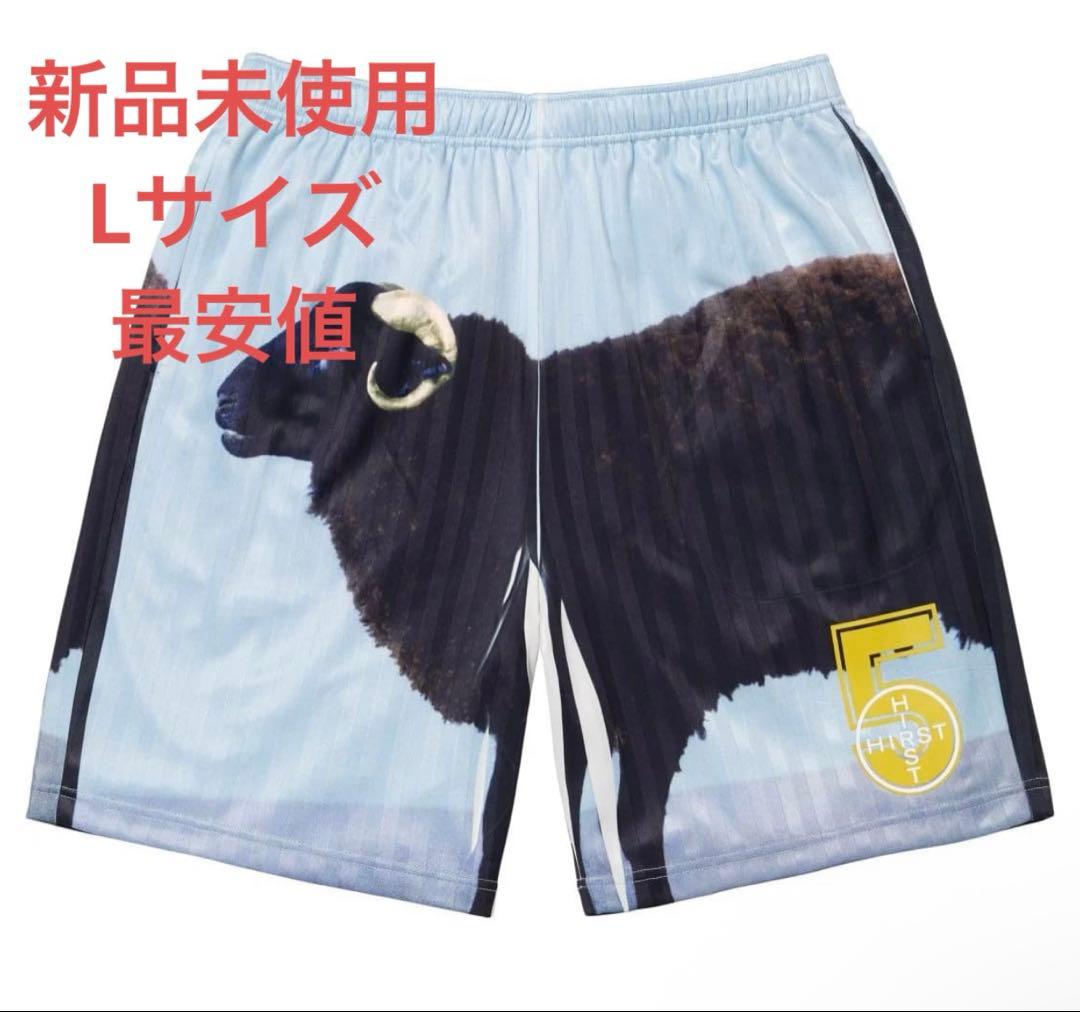パンツ Supreme Damien Hirst Soccer Short Black