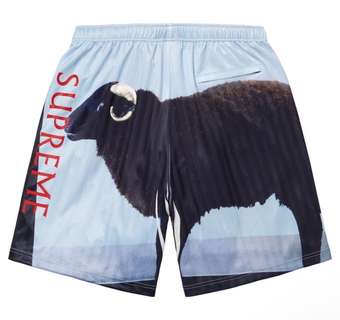 パンツ Supreme Damien Hirst Soccer Short Black