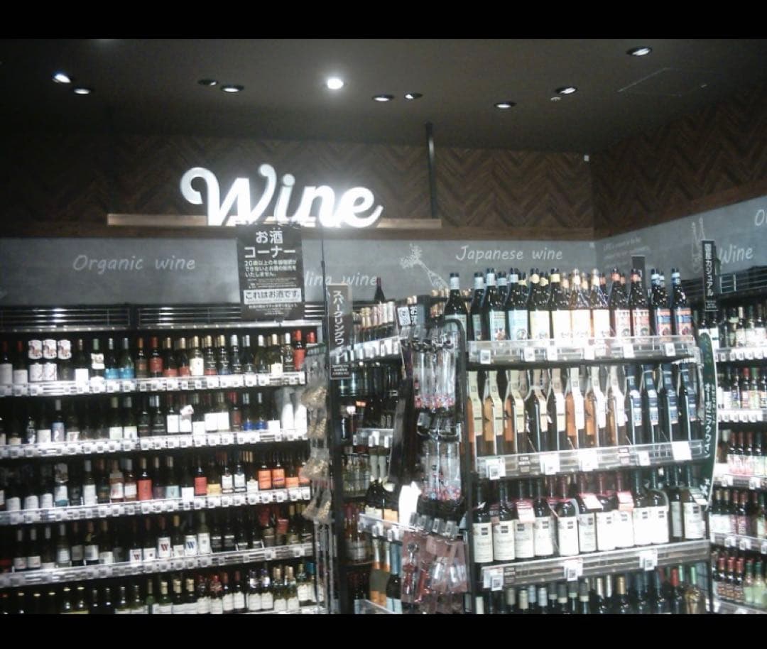 完動品　Polaroid PDC 2070 デジタルカメラ 2.1メガピクセル