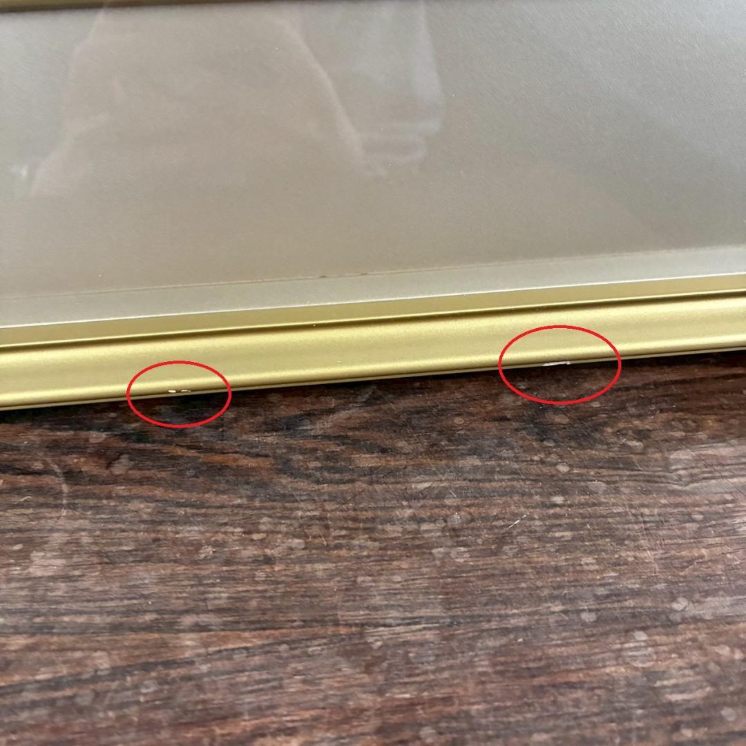 中島千波「ポインセチア」リトグラフ 直筆サイン・落款有 額縁入り 日本画家 猫