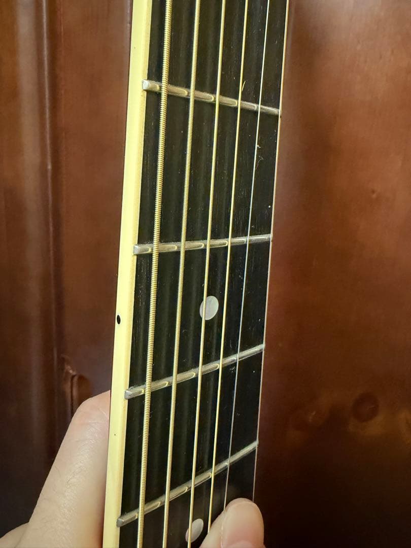 Stringphonic LeRoy Oval ストリングフォニック