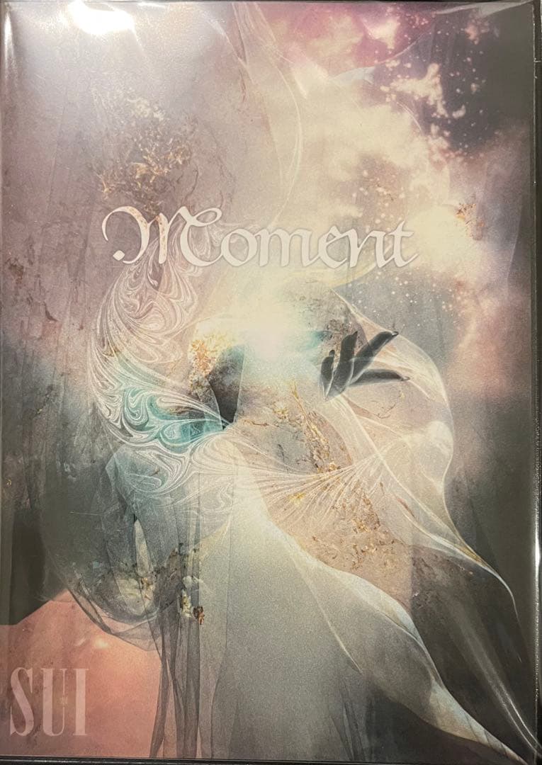 SUI（DAVID） / MOMENT