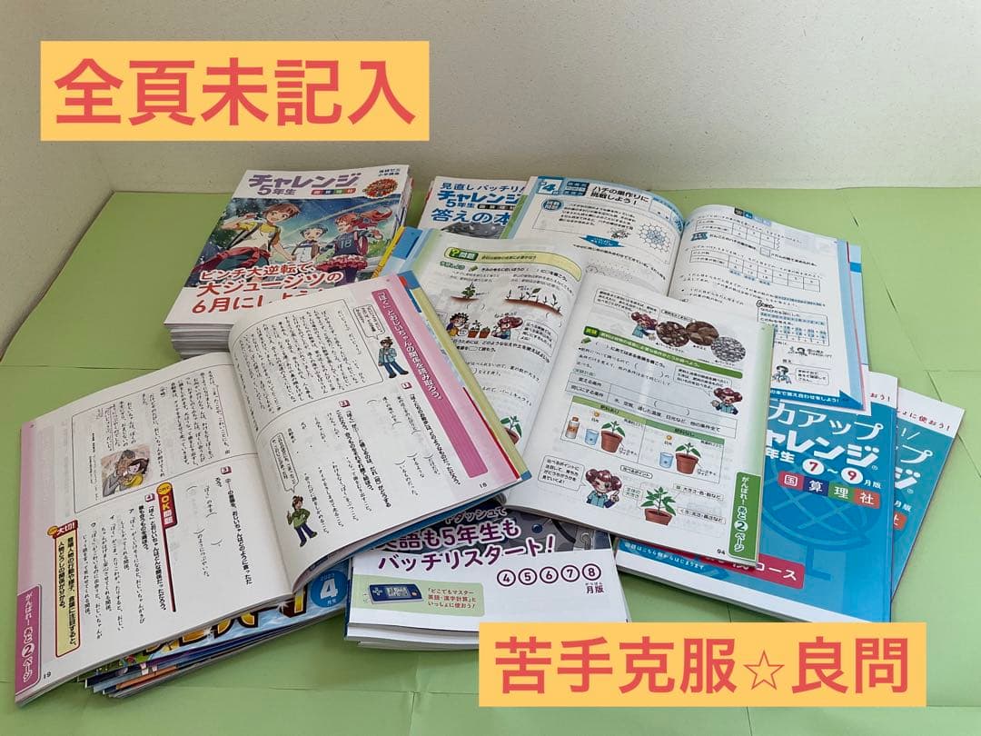 【未記入】チャレンジ5年生　2023年度まるごと1年分！【即購入可】