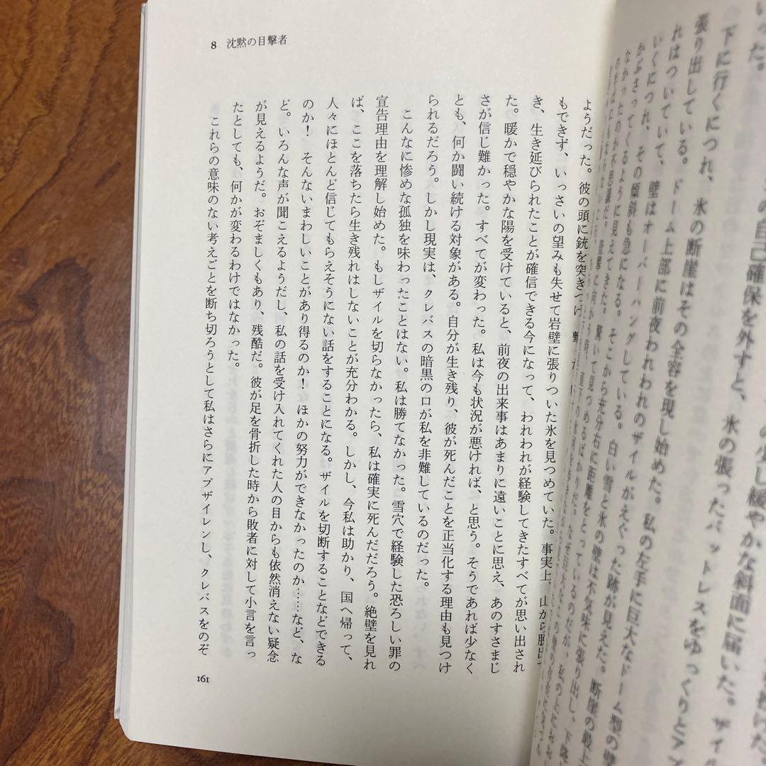 死のクレバス アンデス氷壁の遭難　除籍