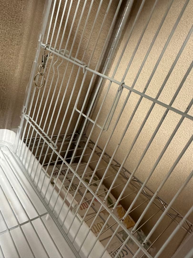 クリアバード35 3個