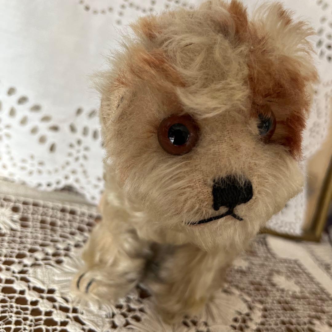 シュタイフ　犬のぬいぐるみ　Molly Puppy Steiff タグボタン有