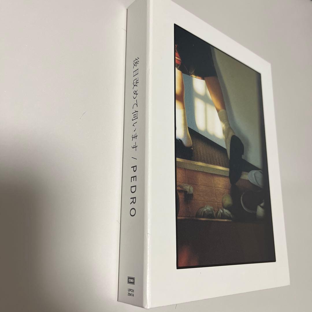 PEDRO 後日改めて伺います