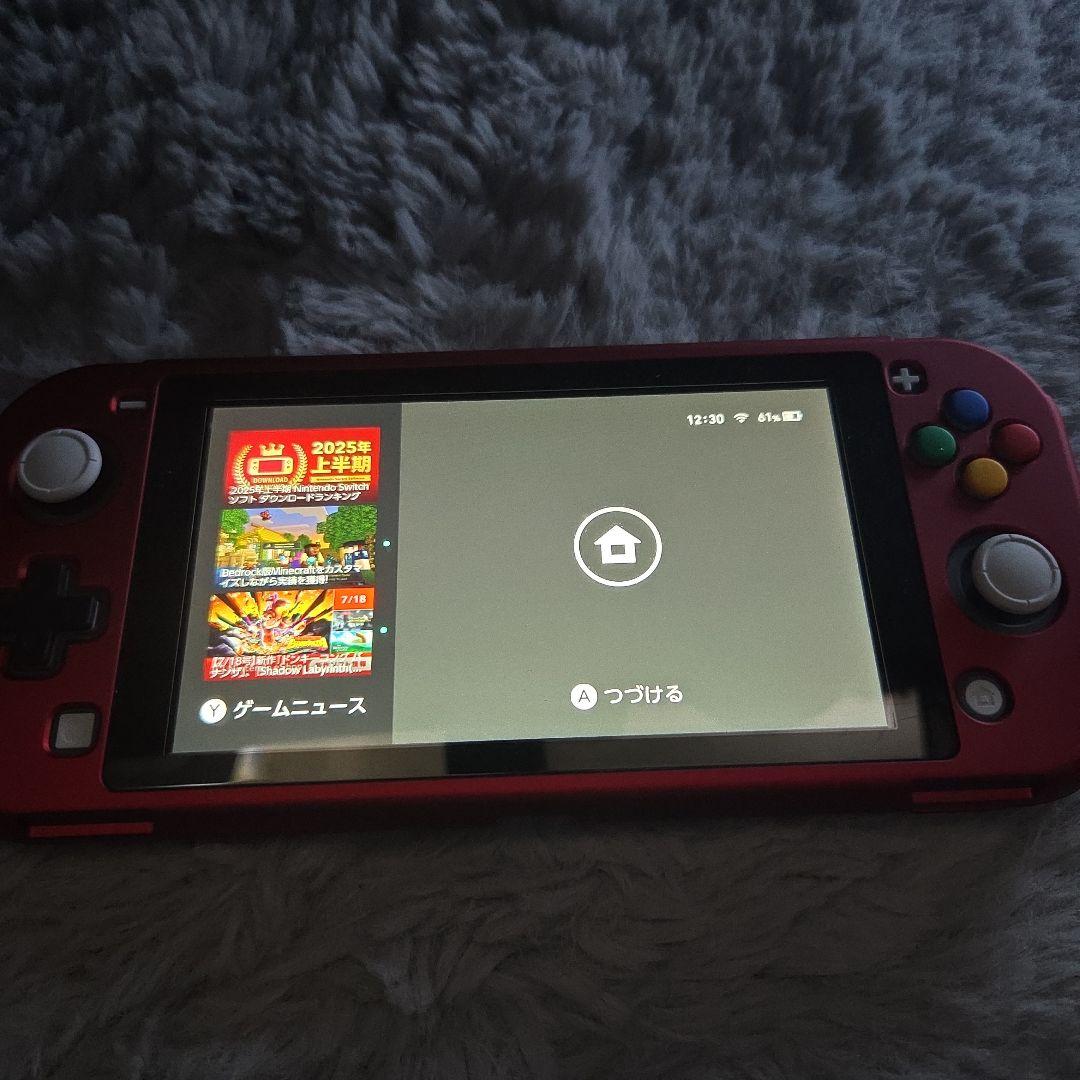 大*桜様 Nintendo Switch Lite グレー 本体