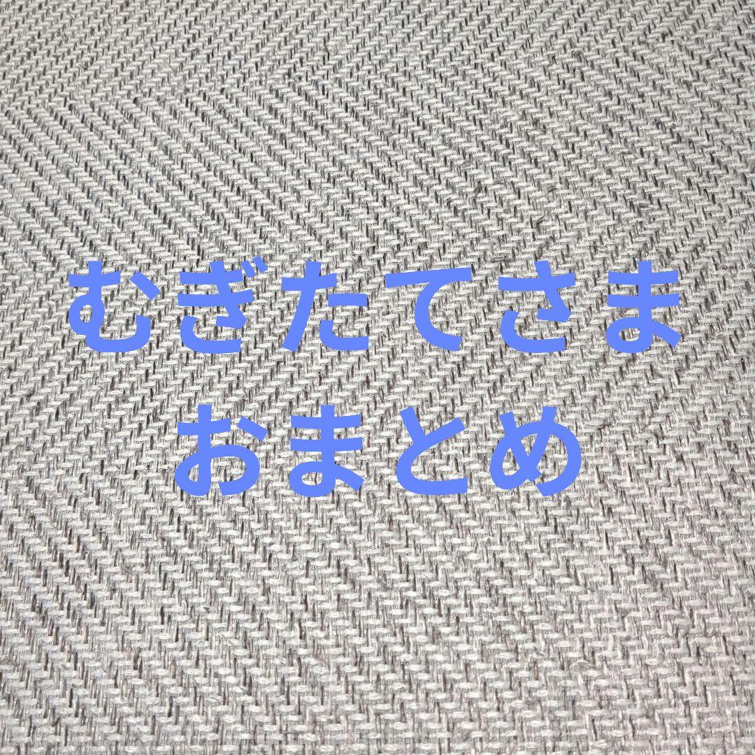 タトラスベストとゴアテックス2点