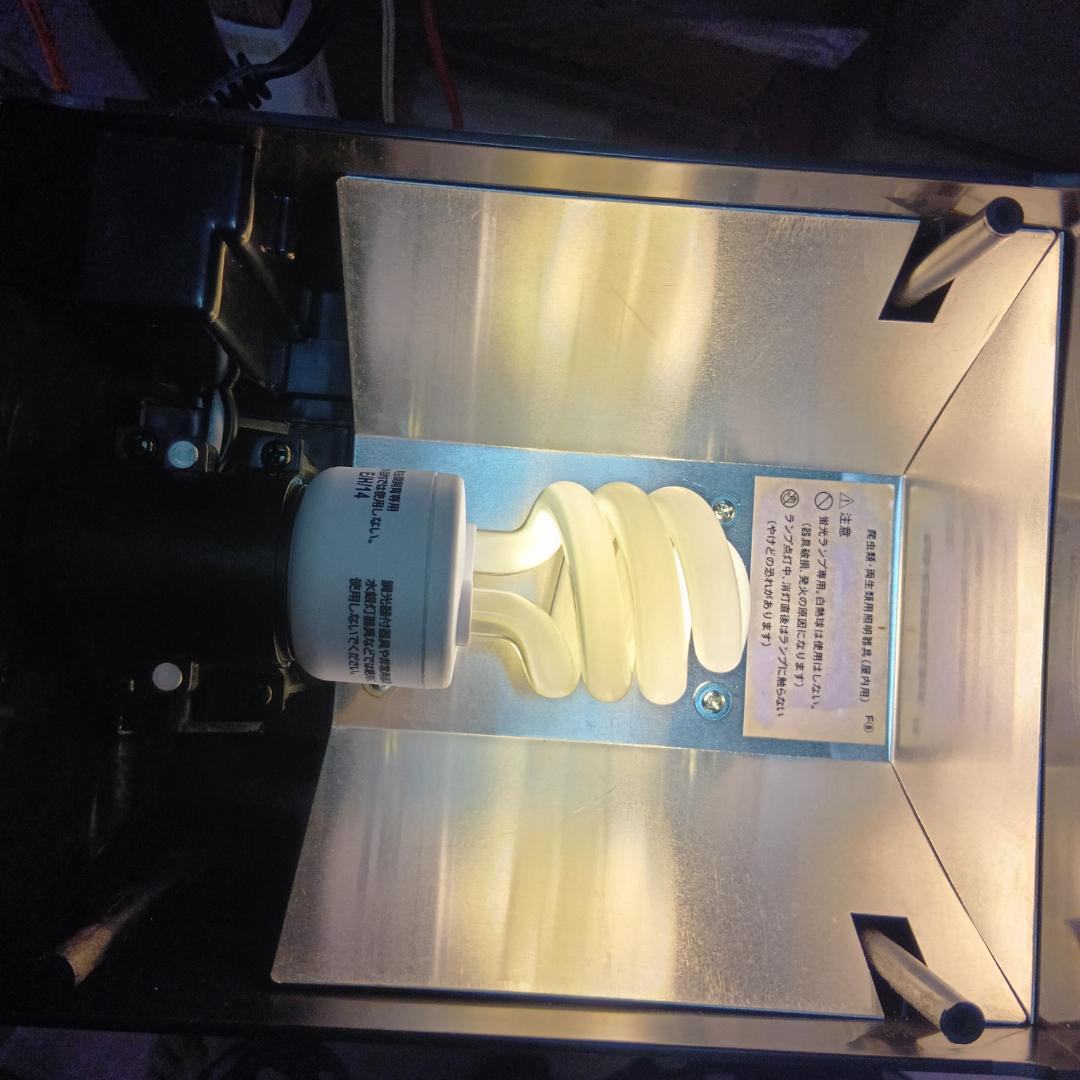 エキゾテラ　グラステラリウム　ナノ　GEX