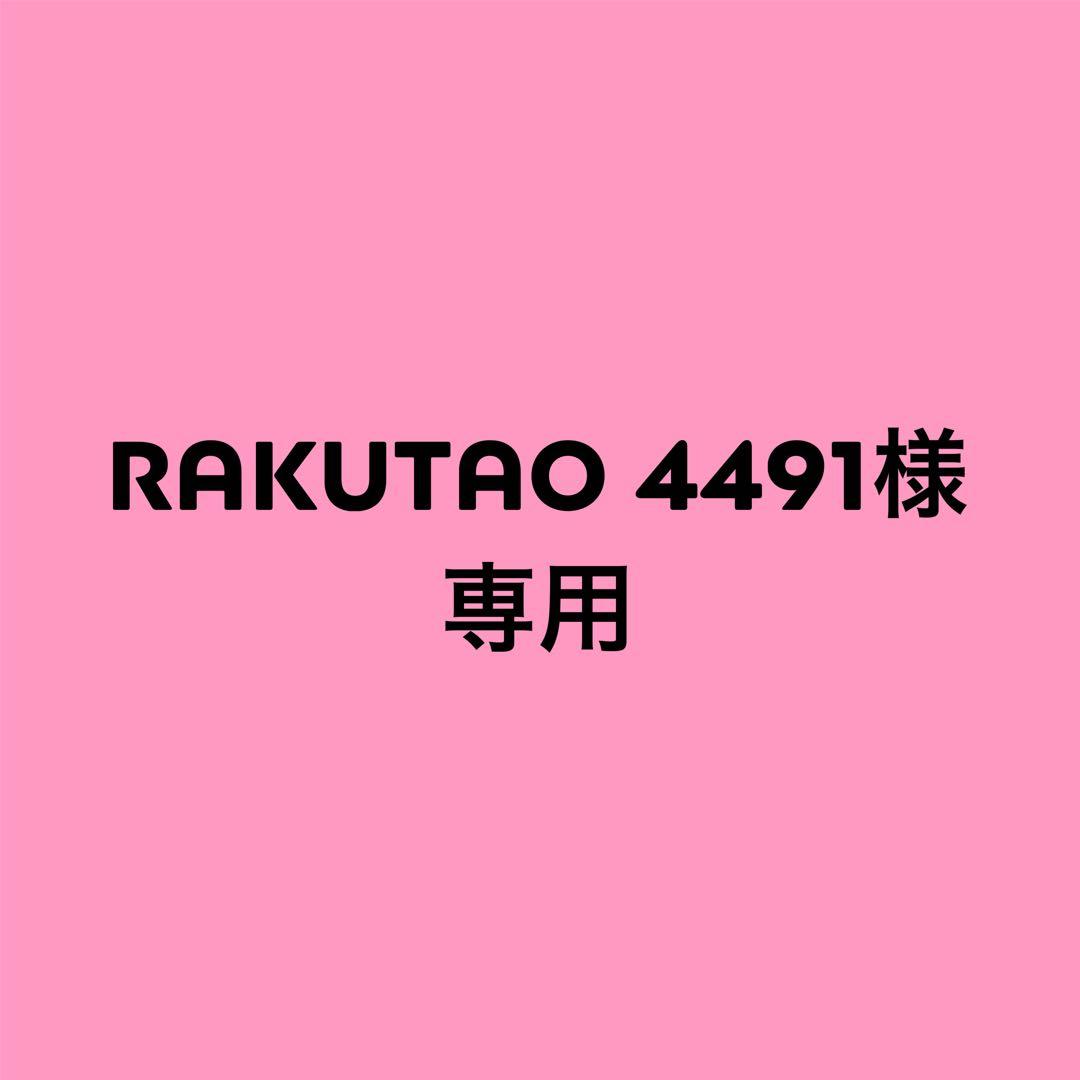 その他 RAKUTAO 4491