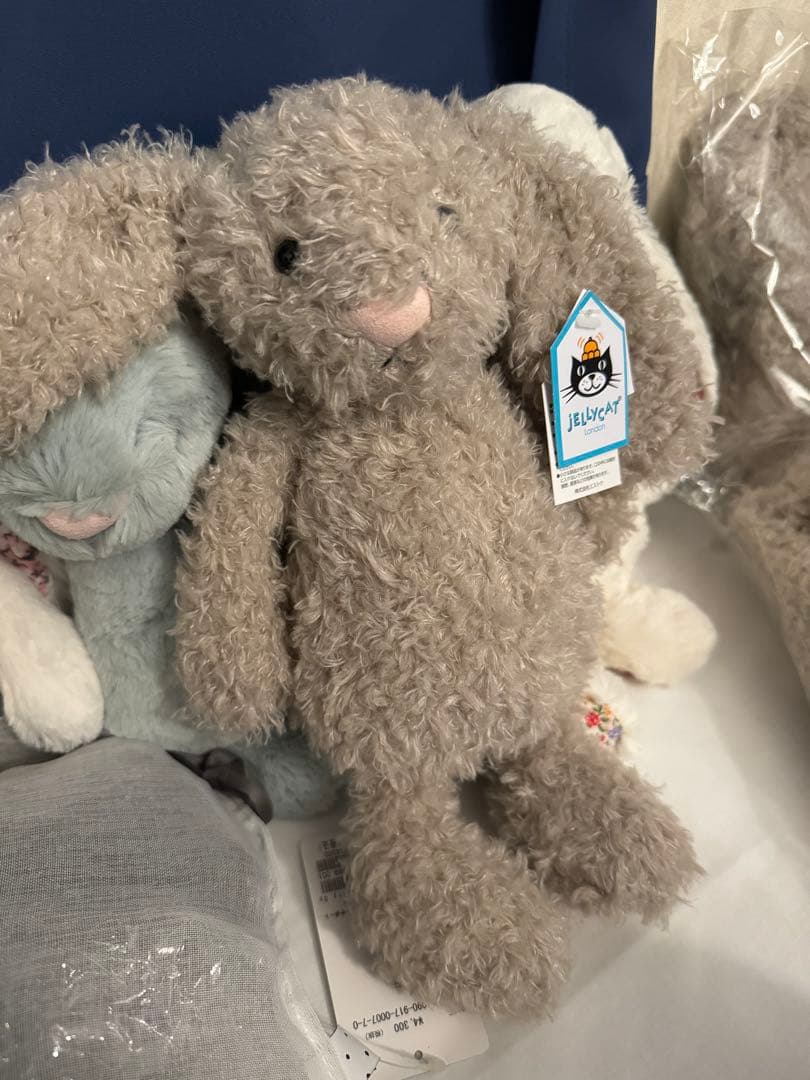  ジェリーキャット Mサイズ JCBAS3CUR