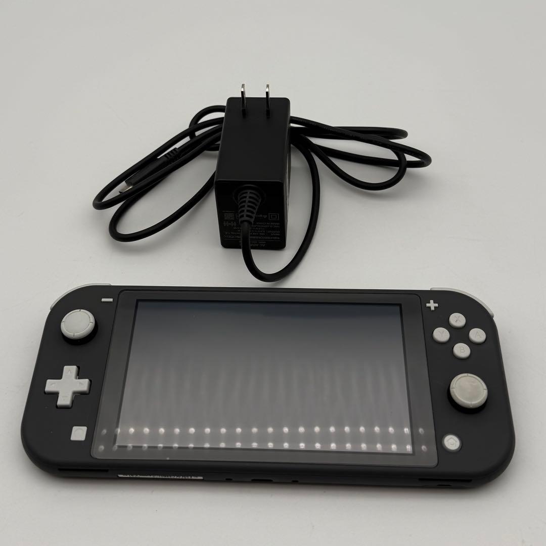 Nintendo switch Lite ニンテンドースイッチライト 付属品あり