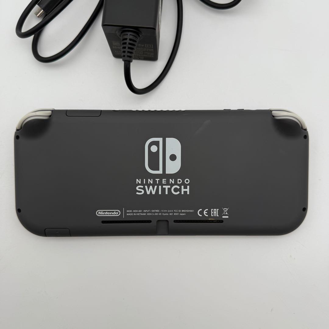 Nintendo switch Lite ニンテンドースイッチライト 付属品あり