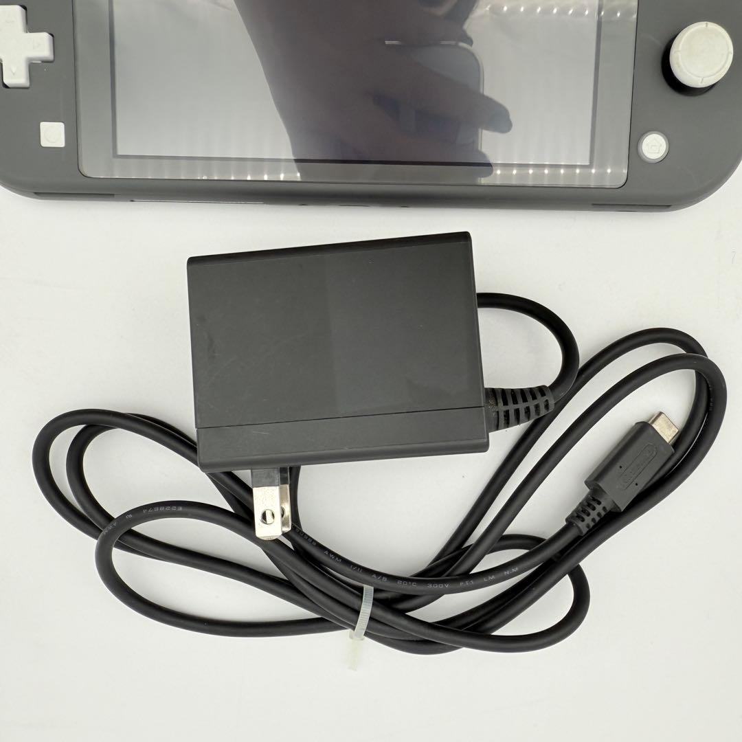 Nintendo switch Lite ニンテンドースイッチライト 付属品あり