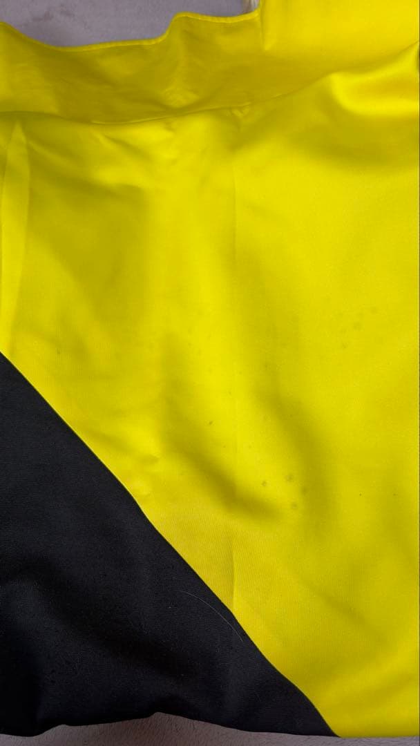 【おーか】ポケットモンスターSV ナンジャモ コスプレウィッグ