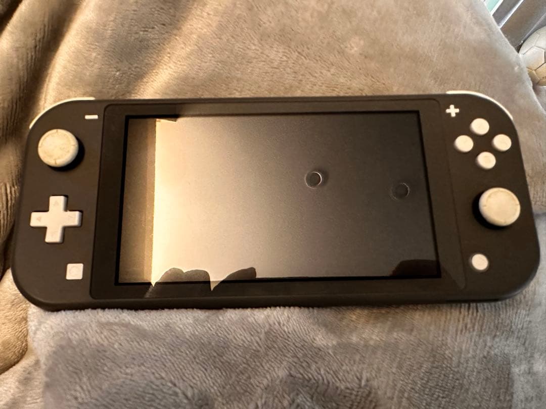 【動作確認済】Nintendo Switch Lite グレー 本体