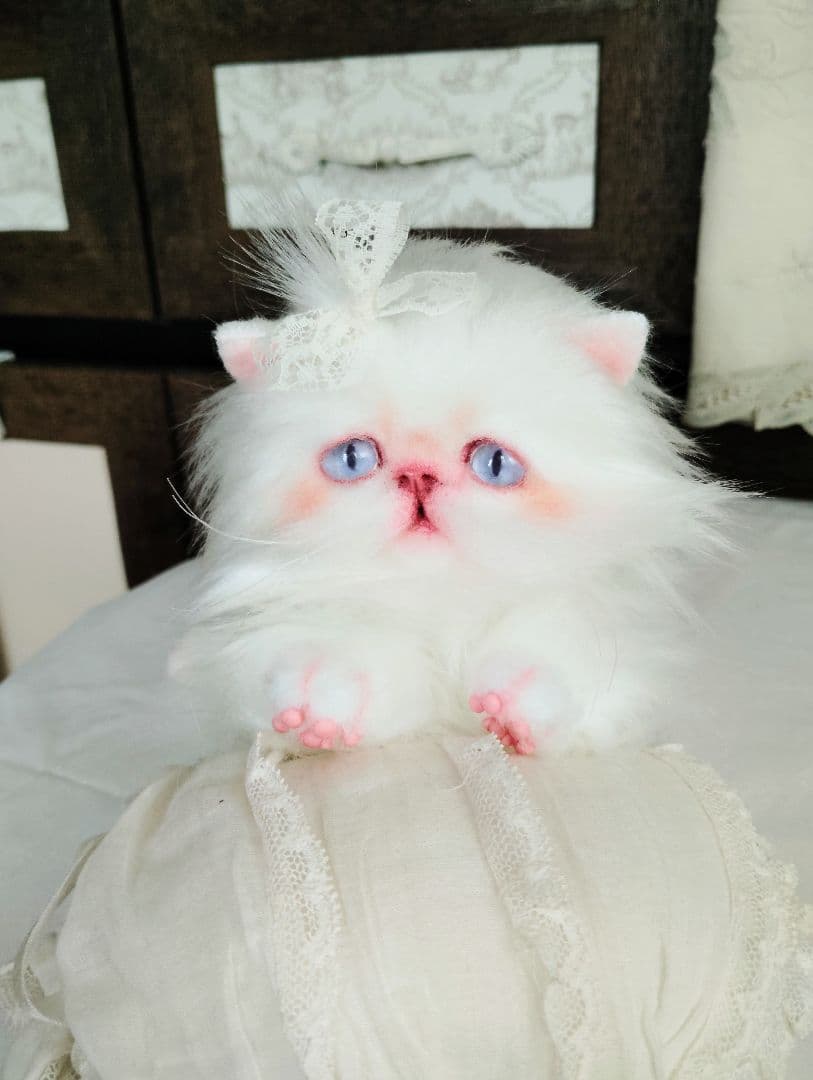 綺麗なオメメの女の子❤エキゾチック子猫ちゃん♡アートドール♡ぬいぐるみ♡