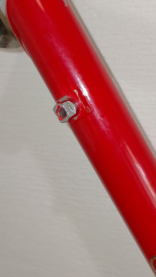 エクタープロトン フレームセット