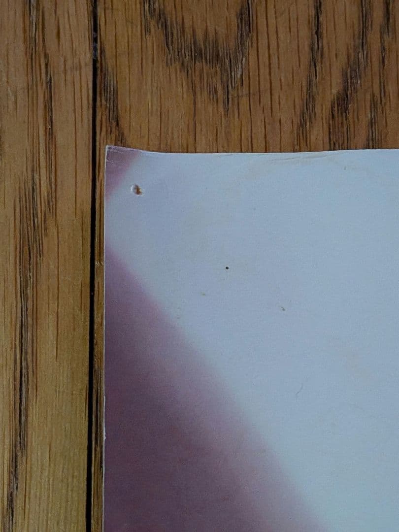 【B1特大ポスター】ZARD「forever you」非売品