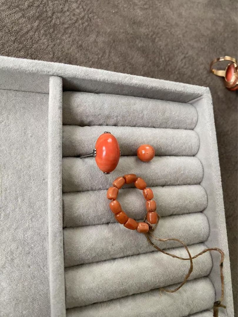 アクセサリー珊瑚リッグ17.mm（169）