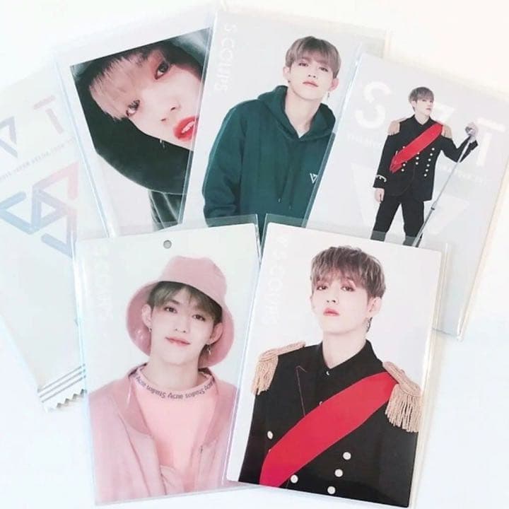 SEVENTEEN SVT 公式グッズ トレカ 5枚 ソロ コンプ エスクプス