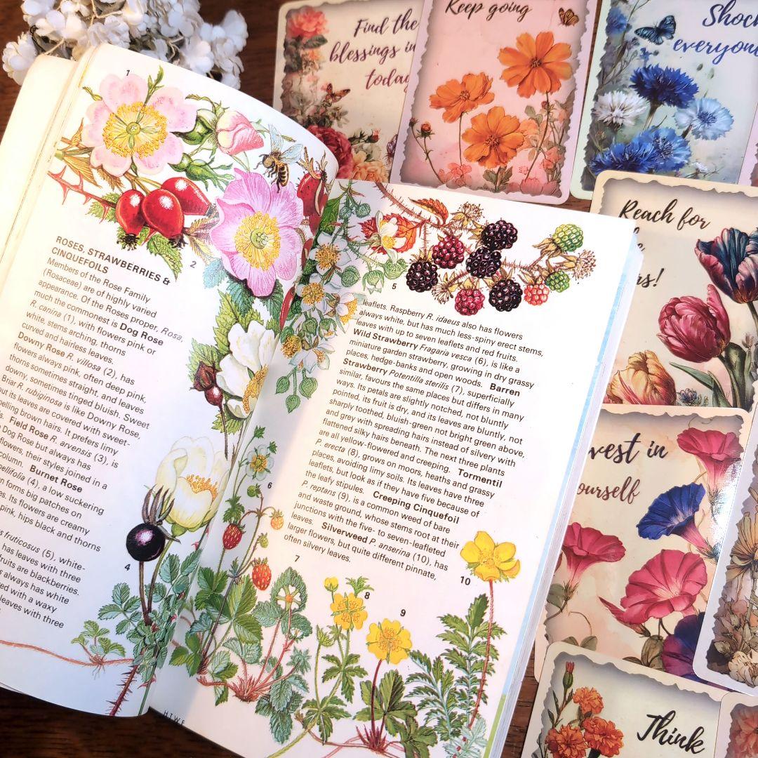 ボタニカルアートが散りばめられた洋書　ボタニカルカード　ボタニカル図鑑洋書