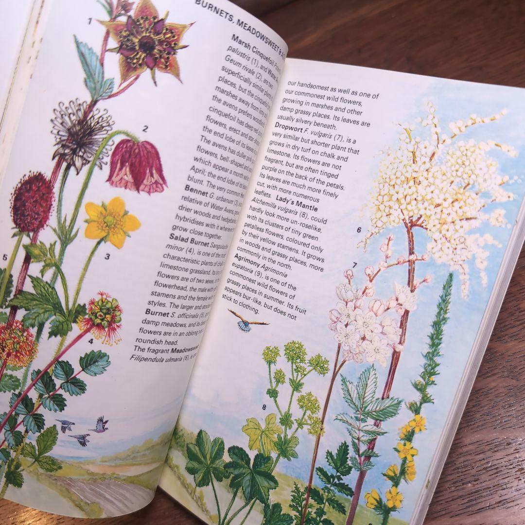 ボタニカルアートが散りばめられた洋書　ボタニカルカード　ボタニカル図鑑洋書