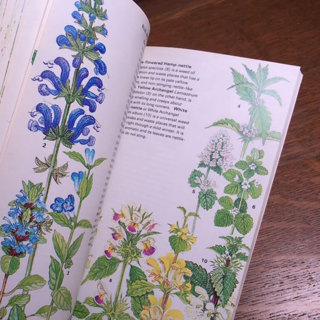 ボタニカルアートが散りばめられた洋書　ボタニカルカード　ボタニカル図鑑洋書