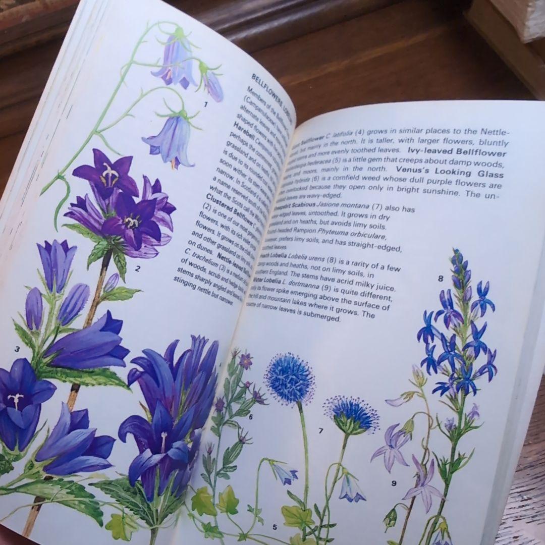 ボタニカルアートが散りばめられた洋書　ボタニカルカード　ボタニカル図鑑洋書