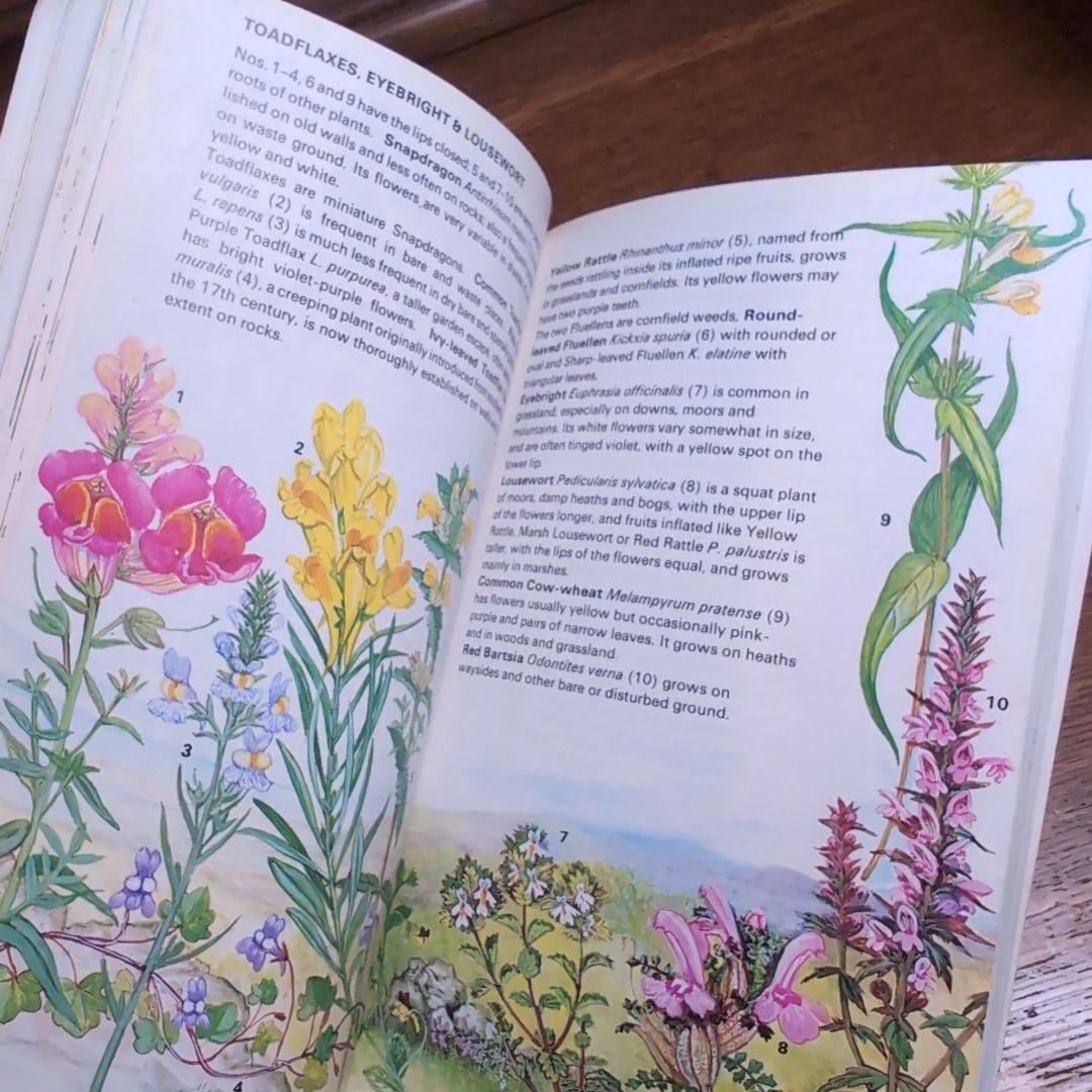 ボタニカルアートが散りばめられた洋書　ボタニカルカード　ボタニカル図鑑洋書