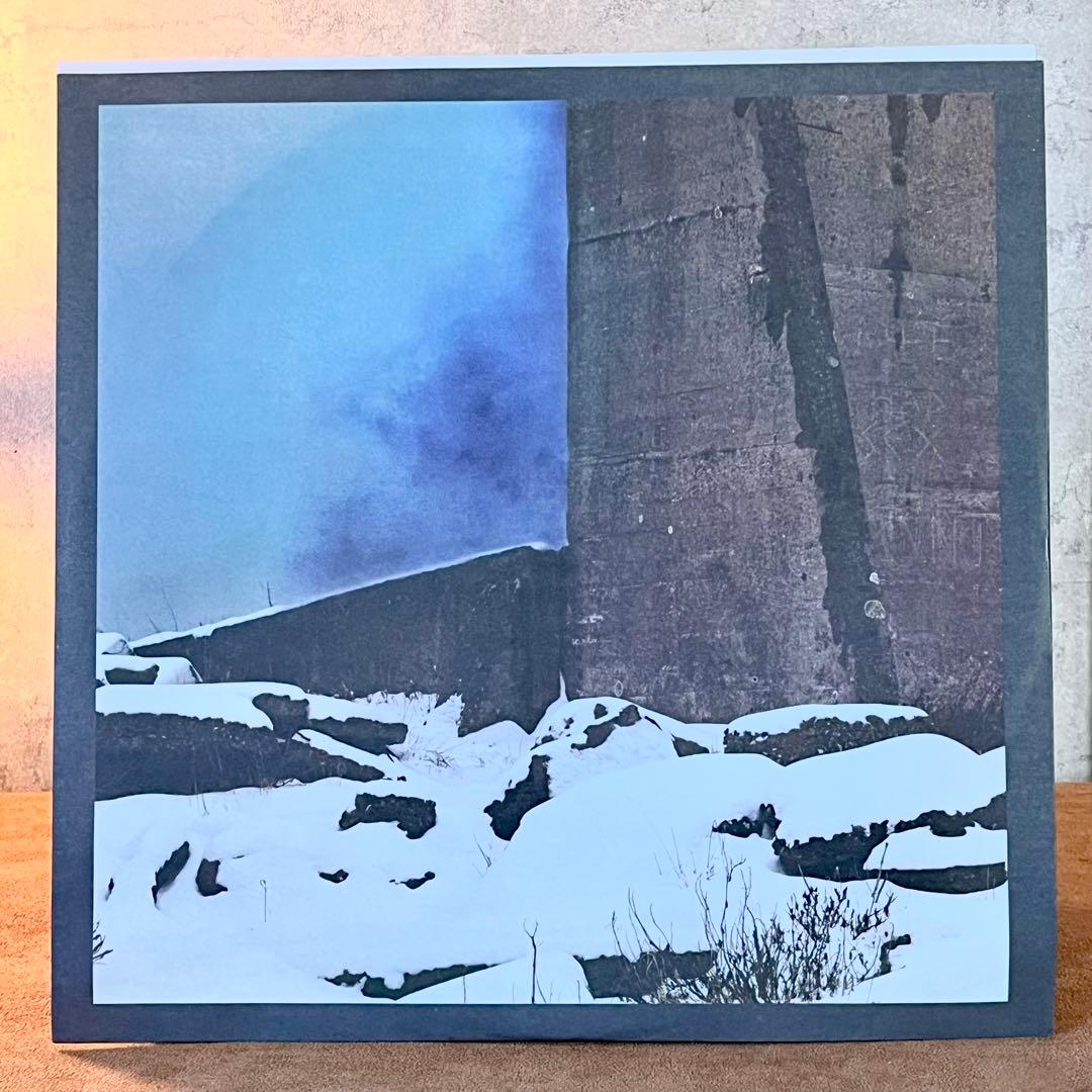 【USオリジナル】James Blake 『Overgrown』 レコード LP