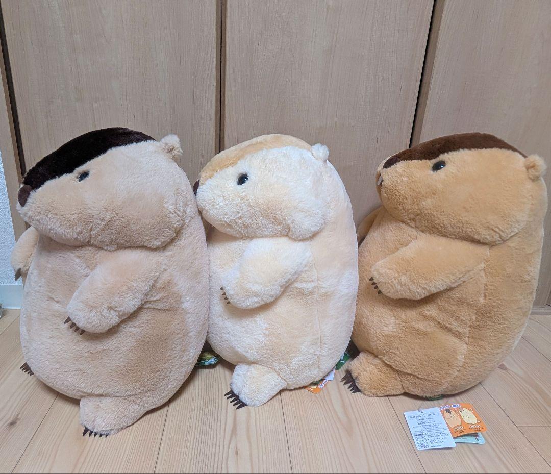 マーモットのもっとっと ウルトラBIGサイズ３点セット