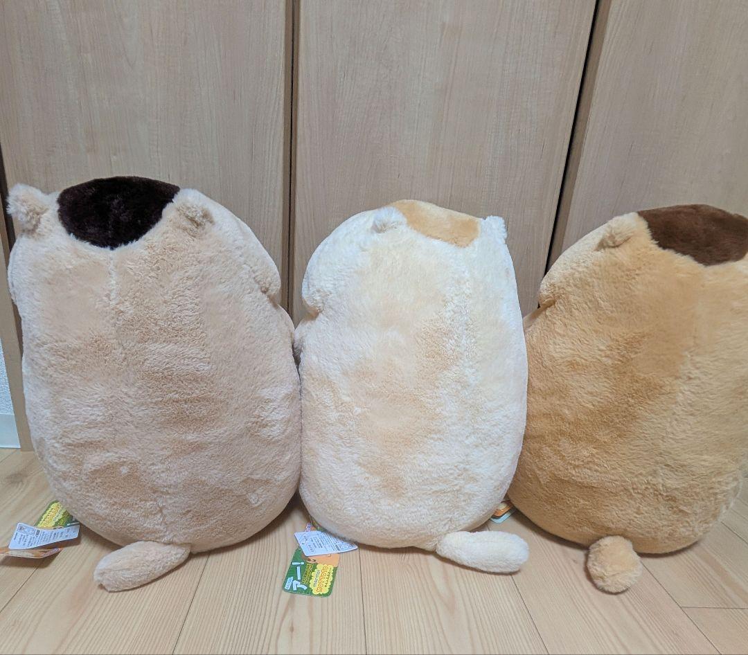 マーモットのもっとっと ウルトラBIGサイズ３点セット