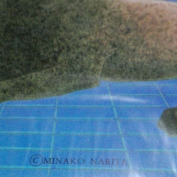 成田美名子　イラストポスター  B4サイズ