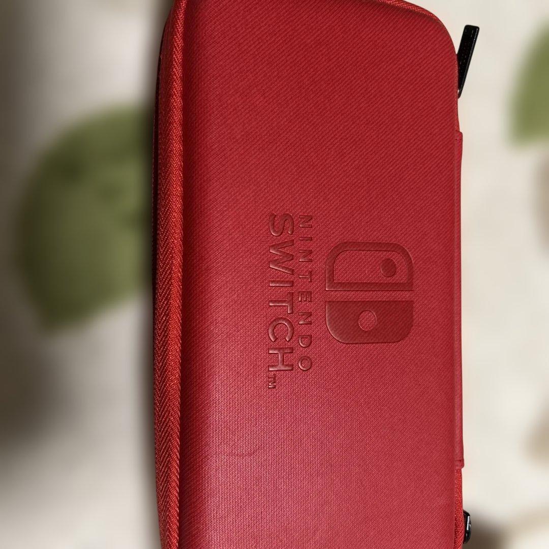 Switch Lite+充電器＆ケース付き