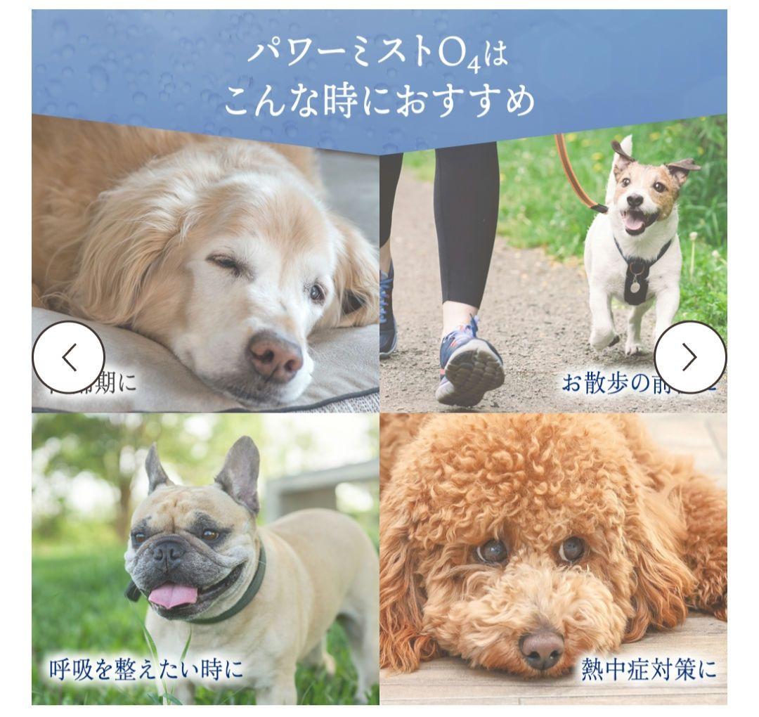 【新品未使用】TEO パワーミストO4 専用酸素水150mm×2付き