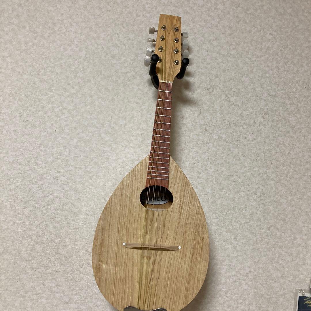 イケガクのフラットマンドリン