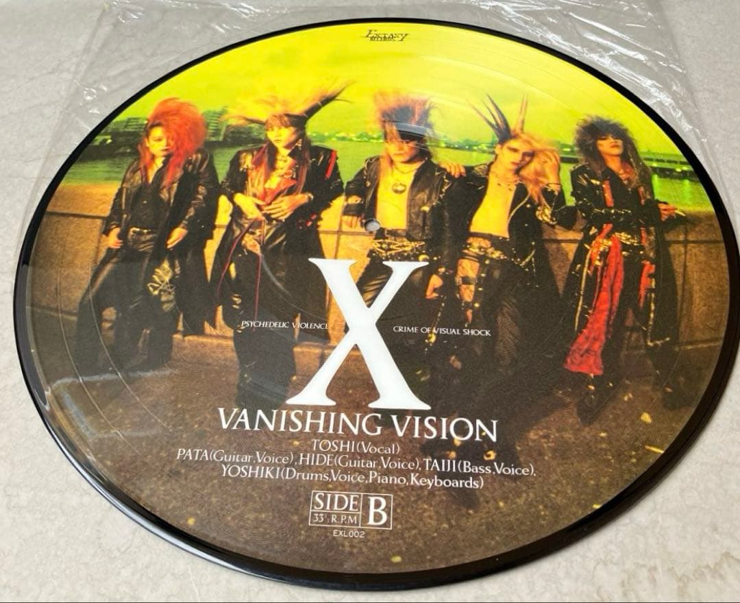 X　VANISHING VISION　5000枚限定ピクチャーレコード　開封品