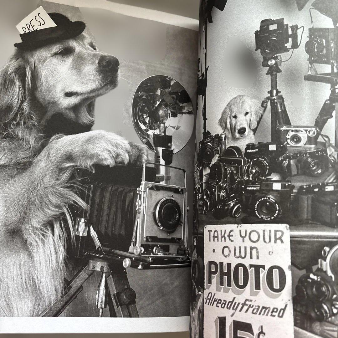 洋書 GOLDEN RETRIEVER PHOTOGRAPHIC SOCIEYT