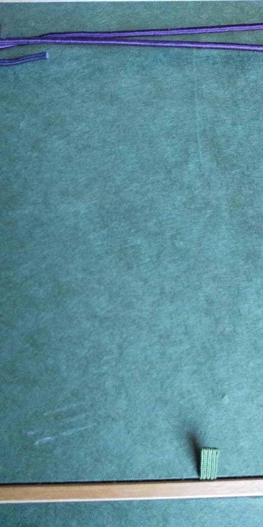 日本画 胡蝶蘭 森脇正人作 F6号　美術品　かわいいラン