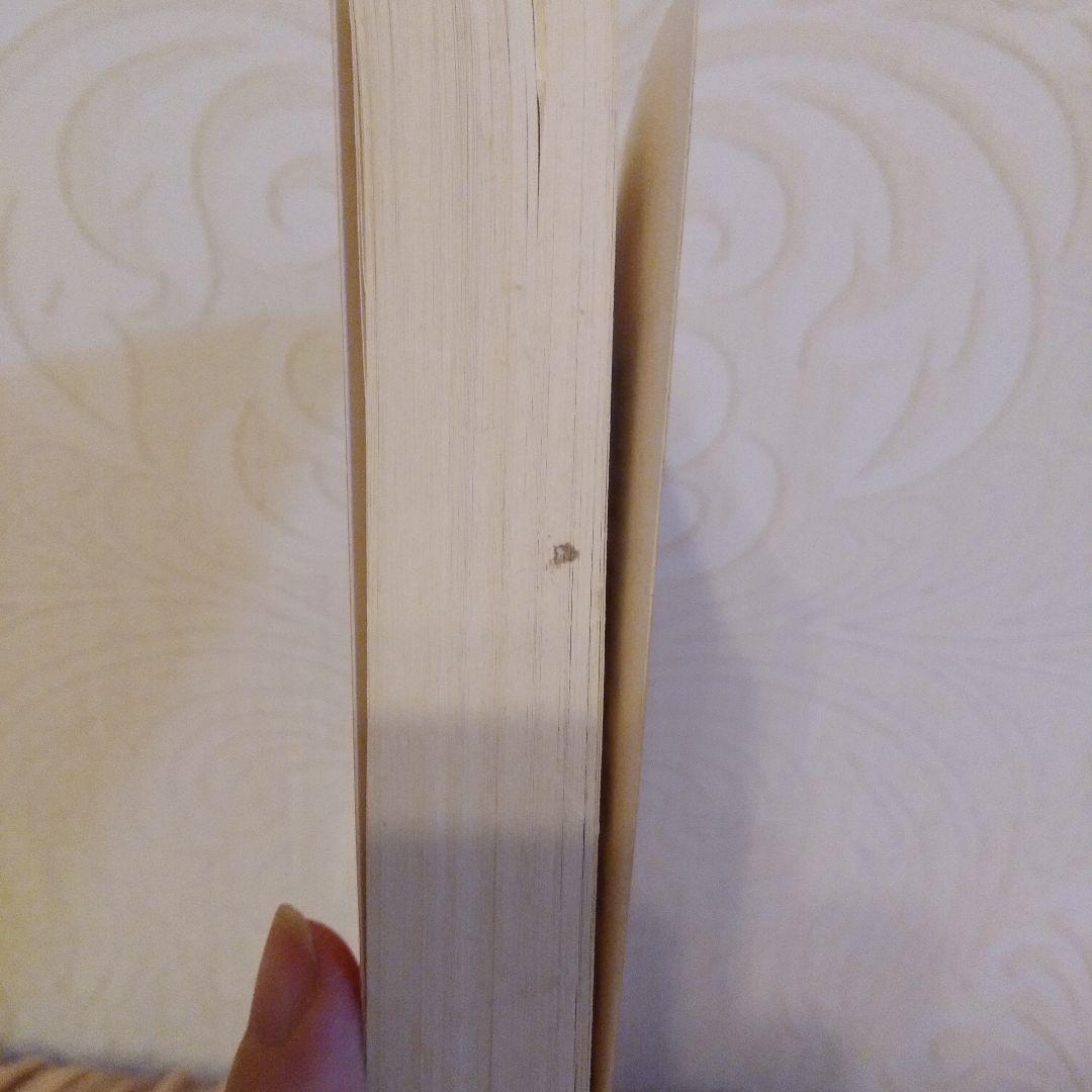 洋書 Statistical Mechanics