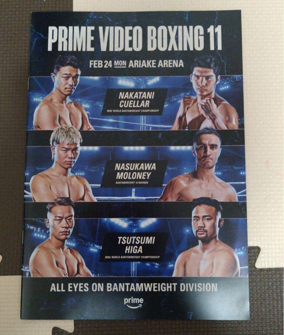 中谷潤人選手 Tシャツ Lサイズ 黒　パンフレット付き