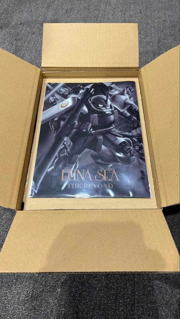 【限定品】 LUNA SEA THE BEYOND MS-06L ZAKU II