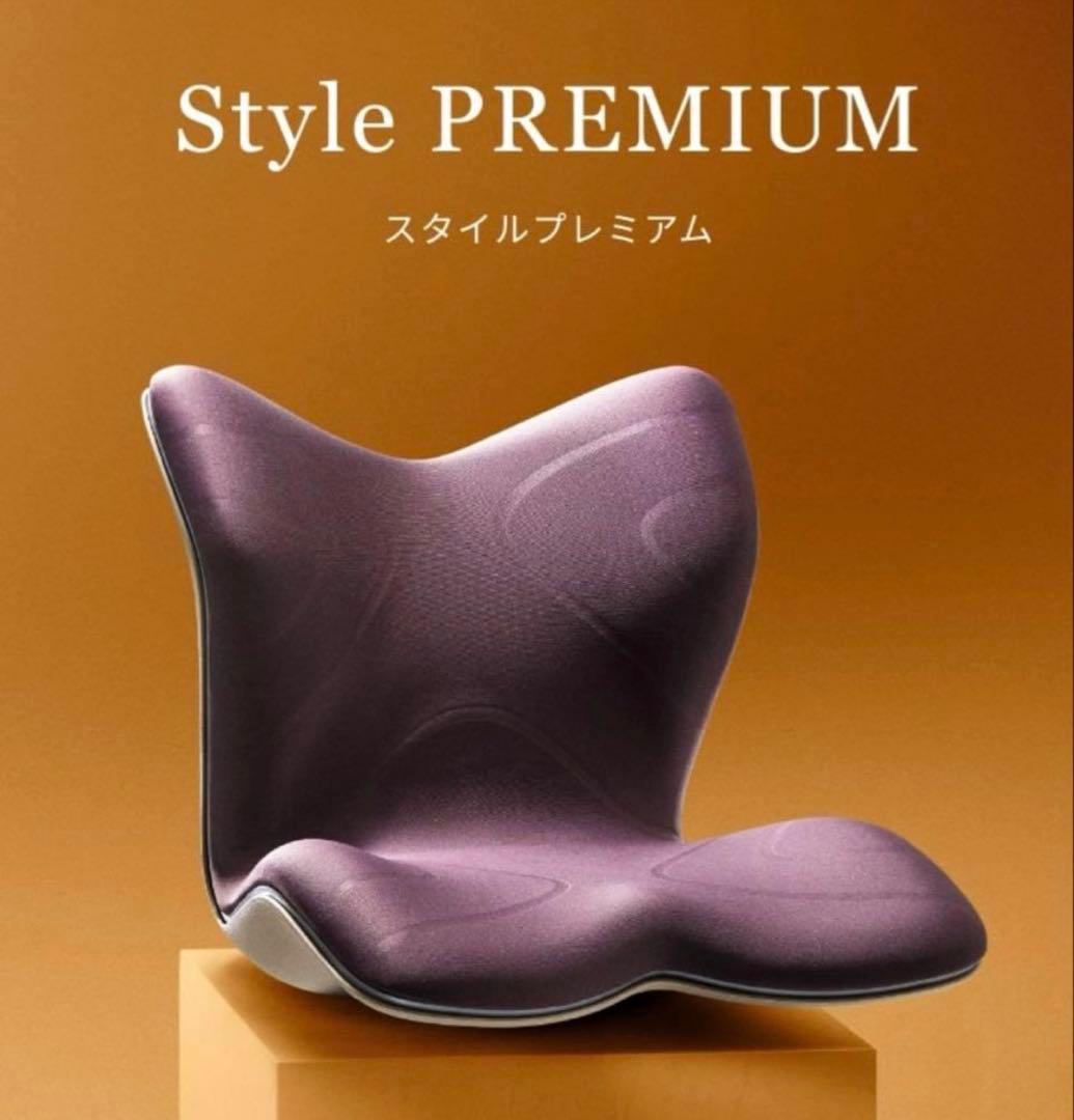 【美品】Style PREMIUM（スタイルプレミアム） ブラウン 骨盤矯正