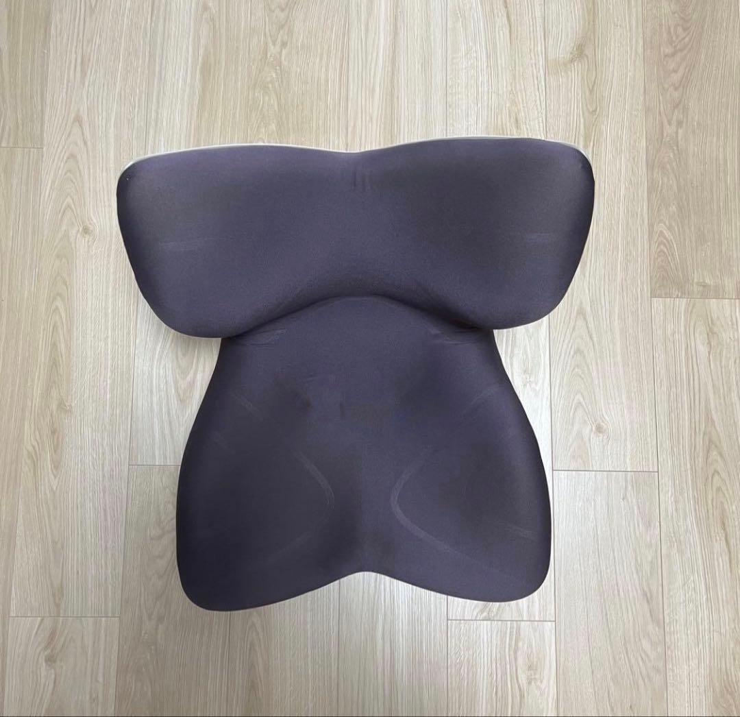 【美品】Style PREMIUM（スタイルプレミアム） ブラウン 骨盤矯正