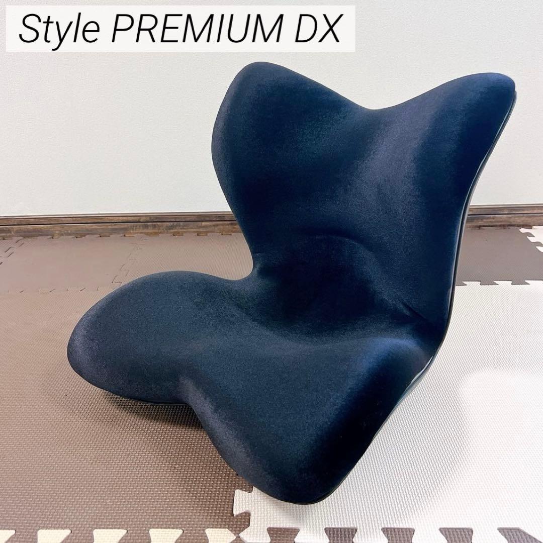 極美品✨MTG スタイルプレミアムデラックス 姿勢矯正 骨盤サポート