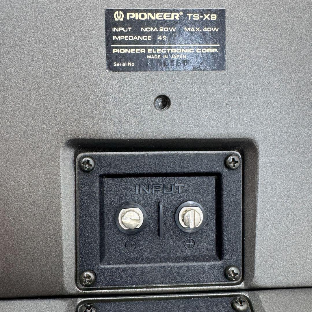 パイオニア TS-X9 ペケナイン 旧車 リアスピーカー ロンサムカーボーイ
