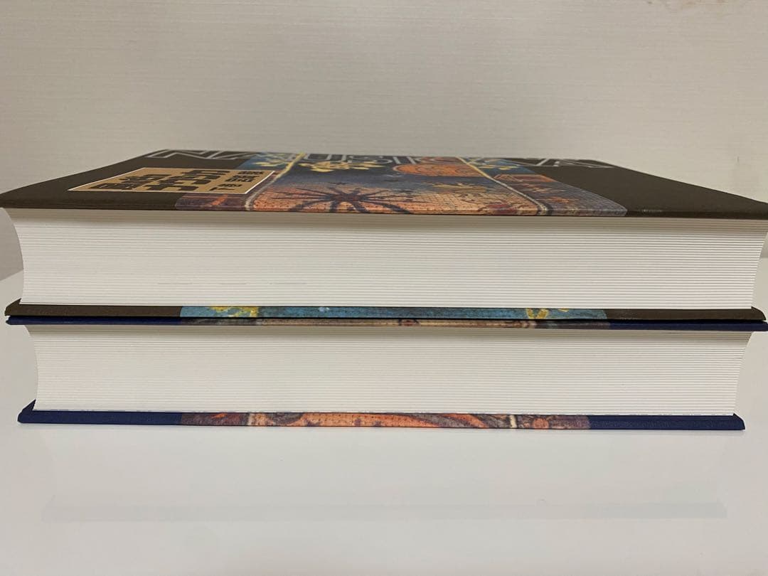 風の谷のナウシカ 豪華装丁本 上下巻セット