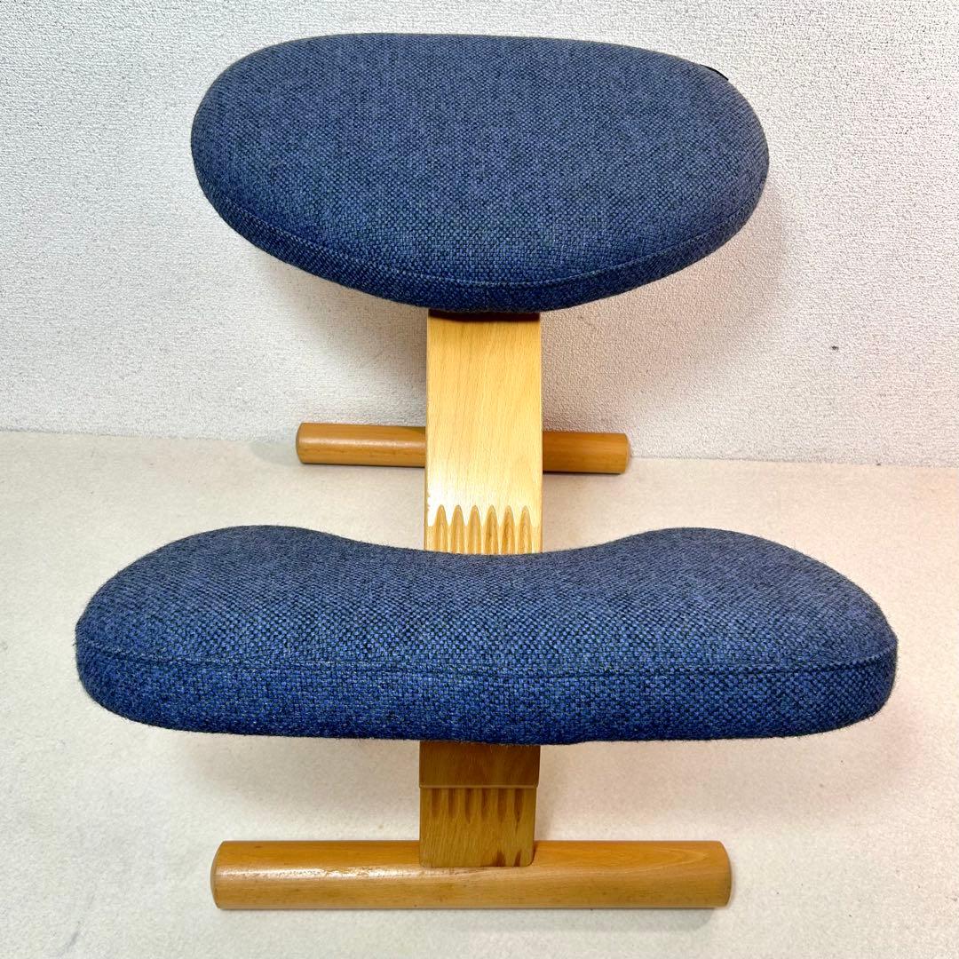 Rybo リボ社 バランスイージー バランスラボ ネイビー 姿勢矯正